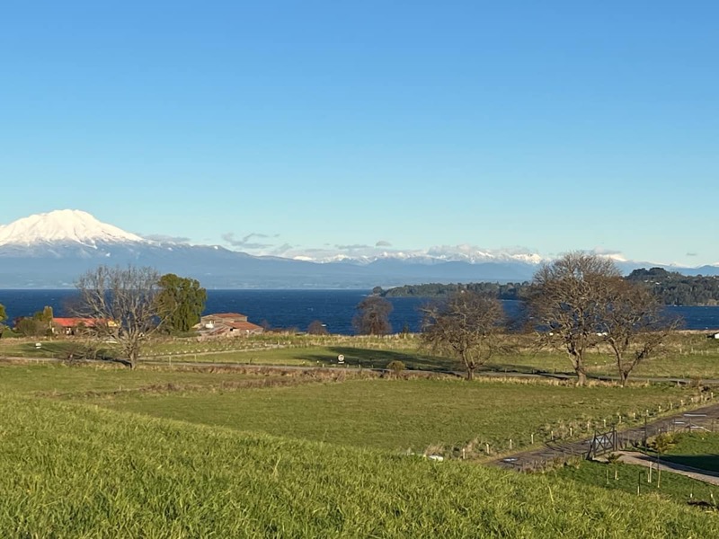El volcán Osorno nevado sobre el lago, desde el terreno